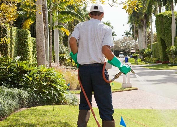 About Rutland IA Pest Control